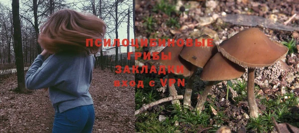 ешки Алексин