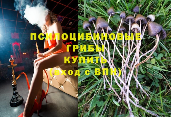 ПСИЛОЦИБИНОВЫЕ ГРИБЫ Алексеевка