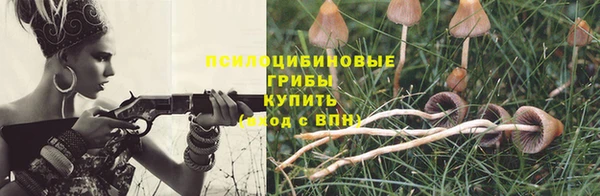 ешки Алексин